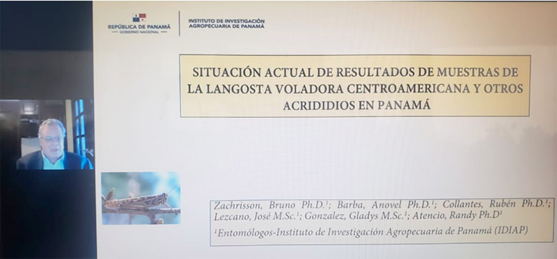 ipsa-participa-en-foro-sobre-manejo-langosta-centroamericana
